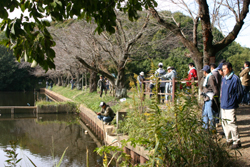 里山保全活動の様子1