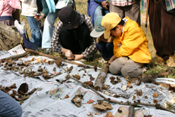 里山保全活動の様子2
