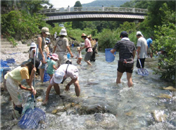 川での活動の様子
