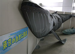 「東京の自然公園展」展示物の様子