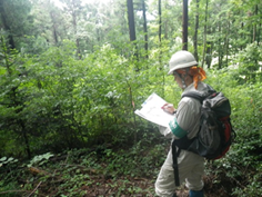 実習風景の写真1