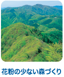 花粉の少ない森づくり