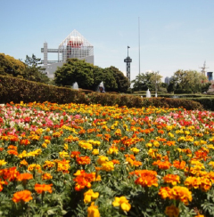 株式会社ライトアップショッピングクラブ公式サイトニューリリースリンク