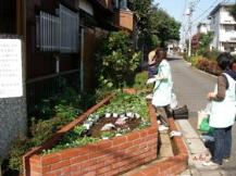 花壇植え替え状況写真1