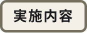 実施内容