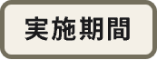 実施期間