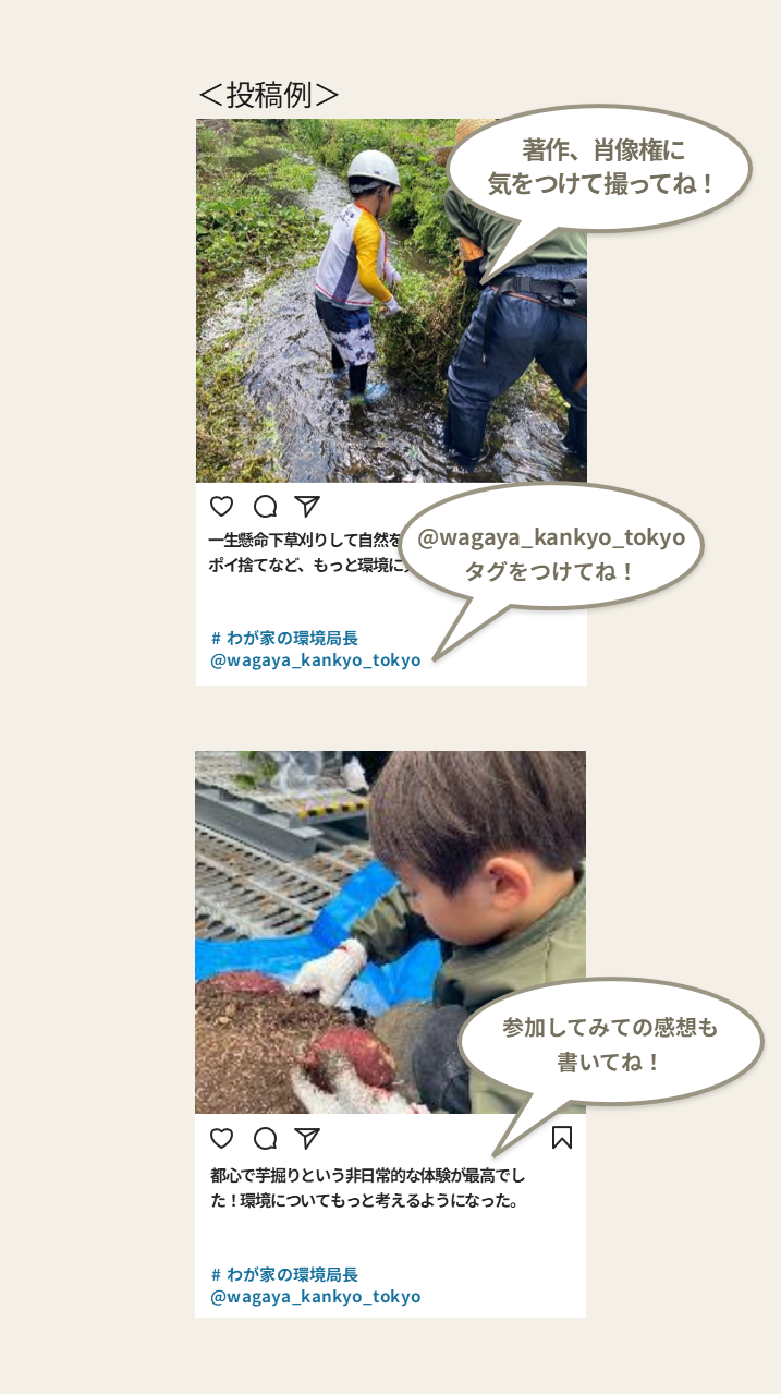 投稿例