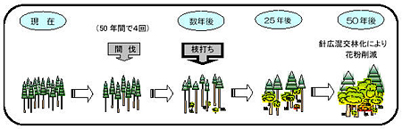 枝打ち事業の流れ