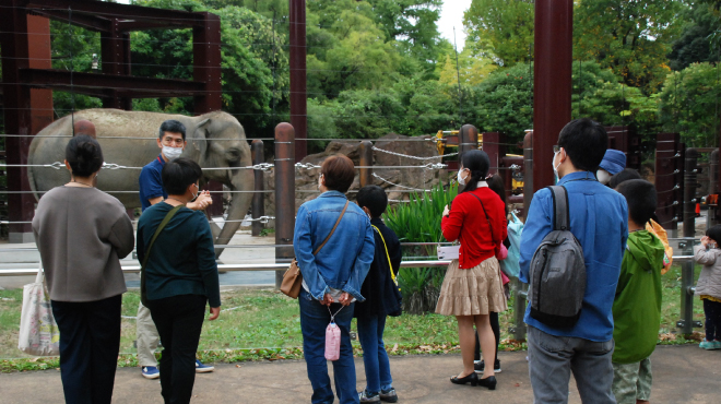 ＜「東京クールホーム・ビンゴ」高得点者対象＞「開園前の動物たちが見られる！上野動物園スペシャル観覧」に参加しました！