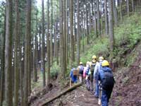 青梅上成木森林環境保全地域の写真