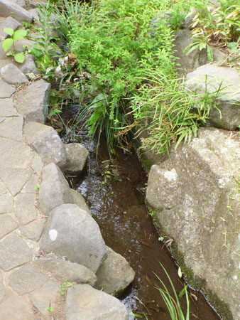 water_yuusui57sen_photo_31_03