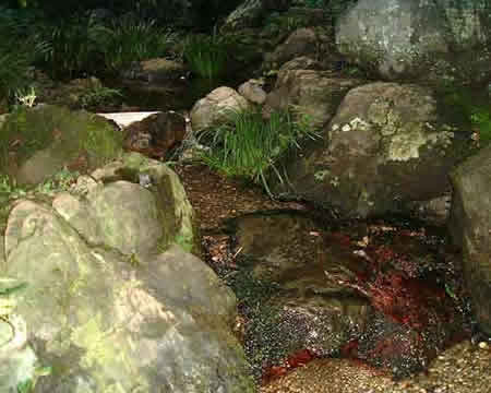 次郎弁天の清水の写真